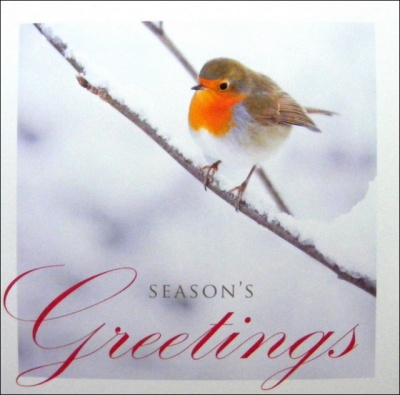 Robin Christmas Cards - Pack of 5